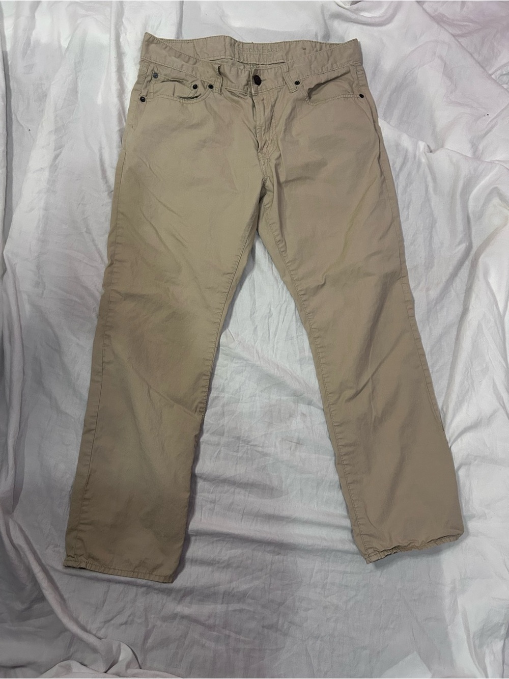 American Eagle Outfitters Men’s Beige casual pants 34x30